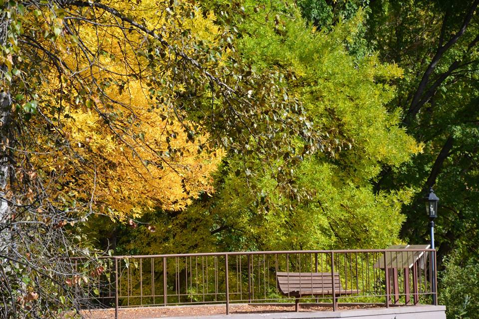 14440894_10100987461566293_2330753515865421345_n